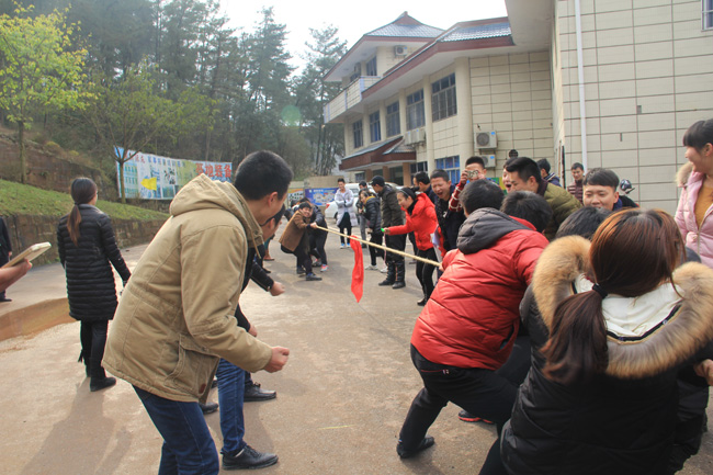 2015�����(hu��)�T���L(f��ng)��